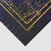 へそ座ティッシュペーパー 薄葉紙 (詳細)