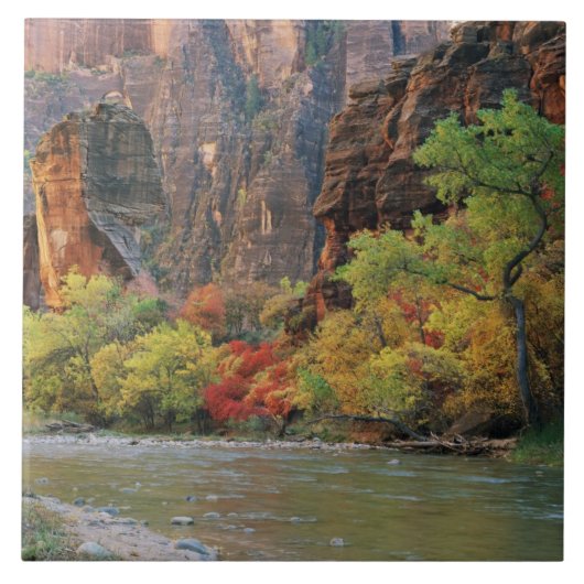 ~への秋の近くのヴァージン川に沿った葉 タイル (正面)