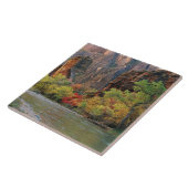 ~への秋の近くのヴァージン川に沿った葉 タイル (側面)