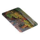 ～への秋の近くのヴァージン川に沿った葉 マグネット (右側)