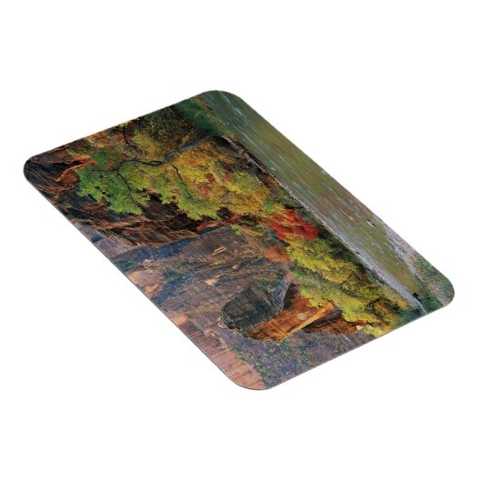 ～への秋の近くのヴァージン川に沿った葉 マグネット (右側)