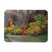 ～への秋の近くのヴァージン川に沿った葉 マグネット (横)