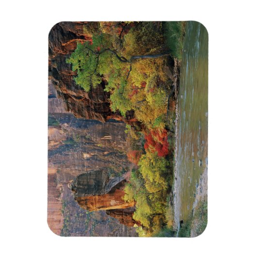 ～への秋の近くのヴァージン川に沿った葉 マグネット (縦)