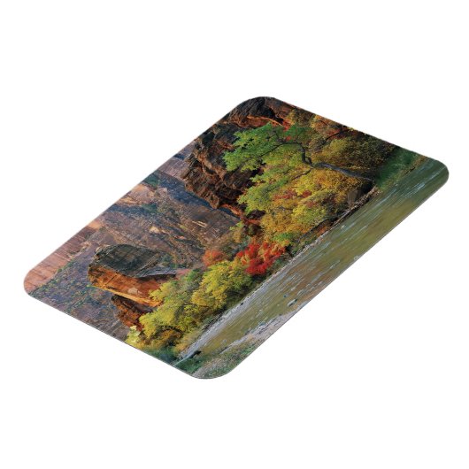 ～への秋の近くのヴァージン川に沿った葉 マグネット (左側)