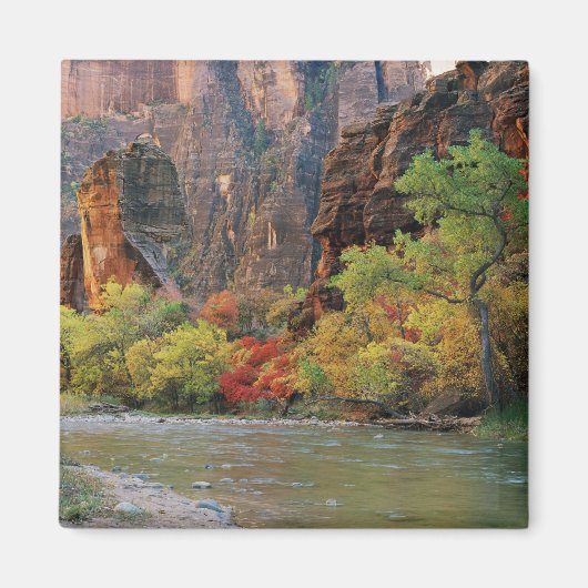 ~への秋の近くのヴァージン川に沿った葉 マグネット (正面)