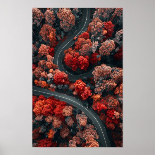 ～への赤い秋を通る曲がりくねった道の空中眺め ポスター (正面)