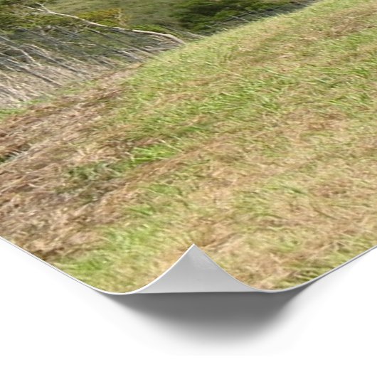 への道。.... ポスター (角)