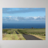 への道。.... ポスター (正面)