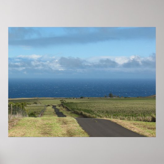 への道。.... ポスター (正面)