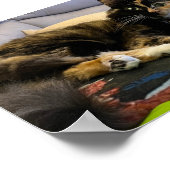 べっか使いのネコが横たわる ポスター (角)