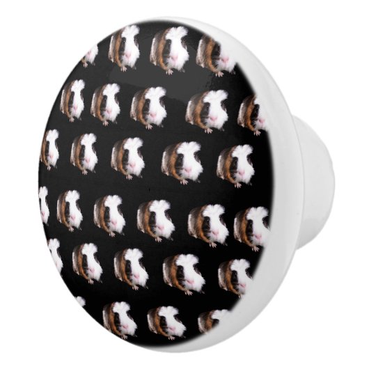 べっ甲ギニア豚セラミックのドアノブ。 セラミックノブ (右)