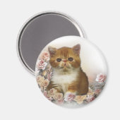 べっ甲ペルシア マグネット (正面/裏面)