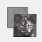 べっ甲子猫 マグネット (正面/裏面)