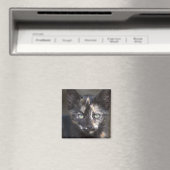 べっ甲子猫 マグネット (インサイチュ (食洗機))
