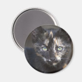 べっ甲子猫 マグネット (正面/裏面)