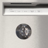 べっ甲子猫 マグネット (インサイチュ (食洗機))