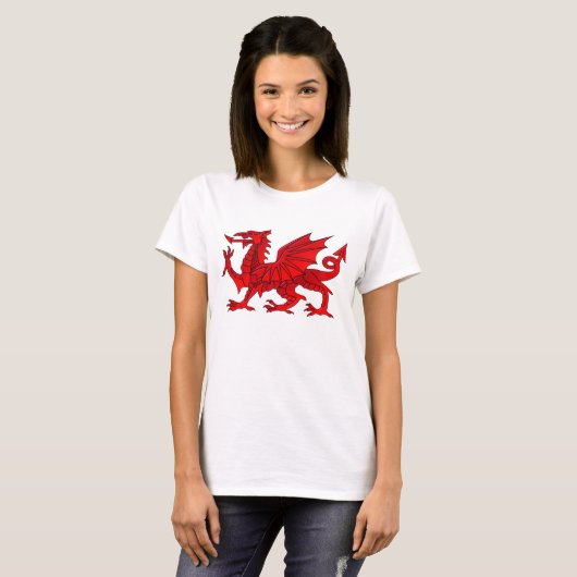 べべル効果のTシャツを持つウェルシュドラゴン Tシャツ (正面フル)