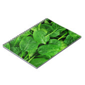 ほうれんそう ノートブック (左側)