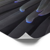 ほおひげ ポスター (角)