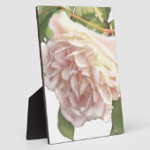 ほこりっぽいエレガントピーチ色のオレンジ色の白フローラバラ フォトプラーク (側面)