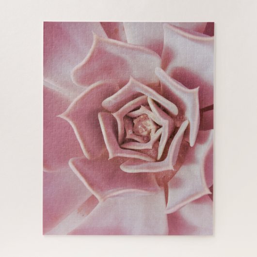 ほこりっぽいバラピンク多肉植物ジグソーパズル ジグソーパズル (縦)