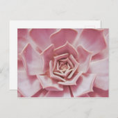 ほこりっぽいバラピンク多肉質の南西砂漠の植物 ポストカード (正面/裏面)