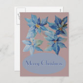 ほこりっぽいピンクの背景の青いポインセチア シーズンポストカード (正面/裏面)