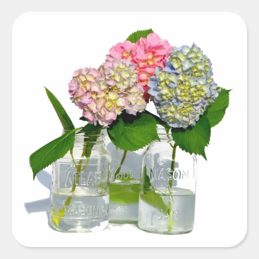 ほこりっぽいピンク色の黄色い緑のフローラアジサイ スクエアシール (正面)