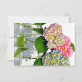 ほこりっぽいピンク色の黄色い緑のフローラアジサイ セーブザデート (裏面)