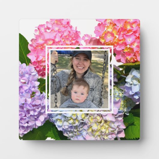 ほこりっぽいピンク色の黄色い緑のフローラアジサイ フォトプラーク (正面)