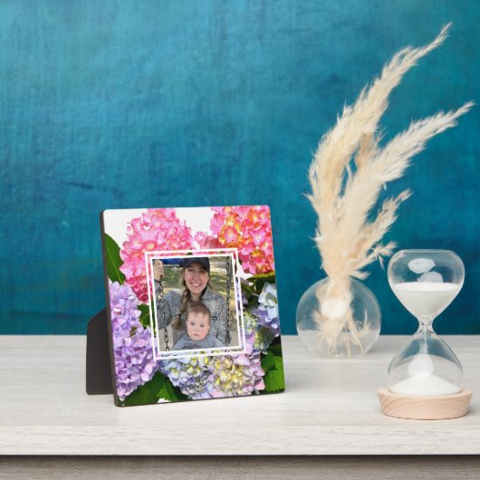 ほこりっぽいピンク色の黄色い緑のフローラアジサイ フォトプラーク (インサイチュ)