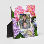 ほこりっぽいピンク色の黄色い緑のフローラアジサイ フォトプラーク (正面)