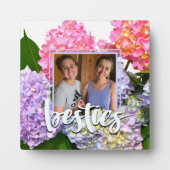 ほこりっぽいピンク色の黄色い緑のフローラアジサイ フォトプラーク (正面)