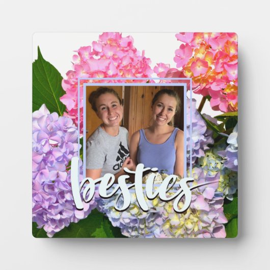 ほこりっぽいピンク色の黄色い緑のフローラアジサイ フォトプラーク (正面)