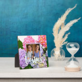 ほこりっぽいピンク色の黄色い緑のフローラアジサイ フォトプラーク (インサイチュ)