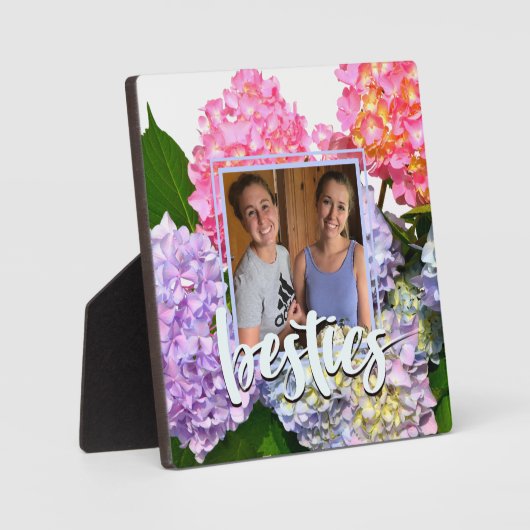 ほこりっぽいピンク色の黄色い緑のフローラアジサイ フォトプラーク (正面)