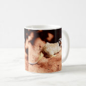 ほこりっぽい発見:鼻に汚れを付けたメルカート コーヒーマグカップ (正面右)