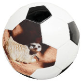 ほこりっぽい発見：鼻に汚れを付けたメルカート サッカーボール (3/4)