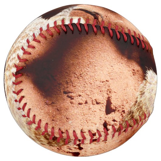 ほこりっぽい発見：鼻に汚れを付けたメルカート ソフトボール (正面左)