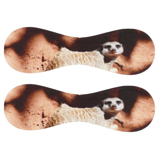 ほこりっぽい発見：鼻に汚れを付けたメルカート ソフトボール (パネル)