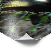 ほこりっぽい金ゴールド蝶 フォトプリント            (角)