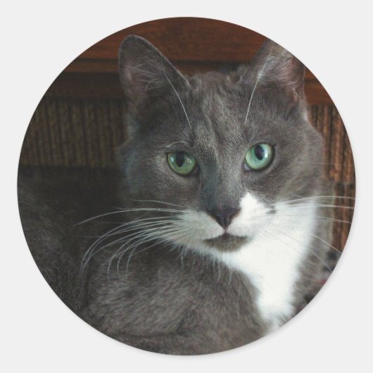 ほこりっぽい ラウンドシール (正面)