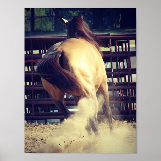 ほこりを蹴り上げる ポスター (正面)