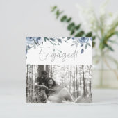 ほこり染みたパステルブルーの花の写真エンゲージメントパーティー (スタンド正面)