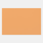 ほこり染みのオレンジ色のピンクの花 エレガント モダン パターン ラッピングペーパーシート (正面3)