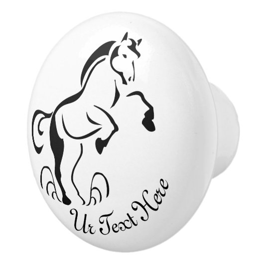 ほこり渦巻き旋回で飼育するステンシルブラックホース セラミックノブ (右)