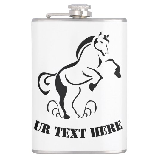 ほこり渦巻き旋回で飼育するステンシルブラックホース フラスク (正面)