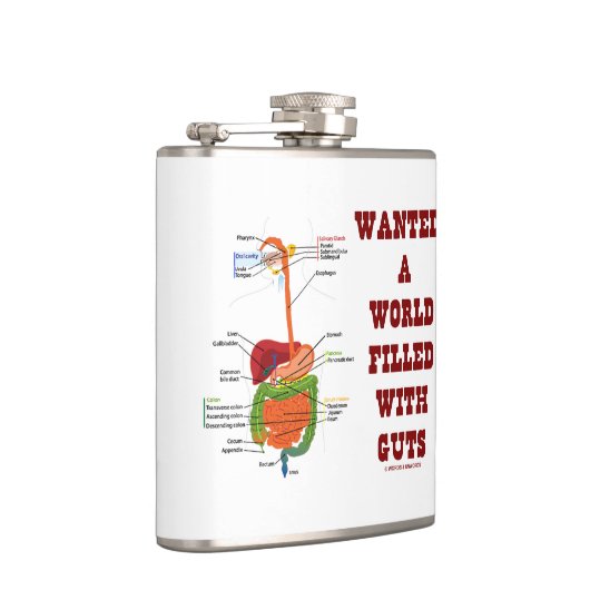 ほしいと思いました内臓(消化系)で満ちていた世界が フラスク (右)