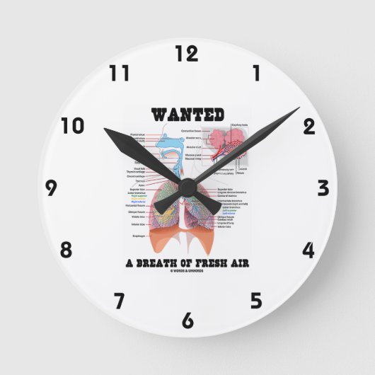 ほしいと思いました(呼吸器)新鮮な風が ラウンド壁時計 (正面)