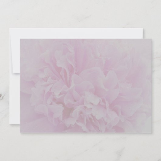 ほっこエレガントしたピンクの牡丹フローラ結婚の 招待状 (裏面)